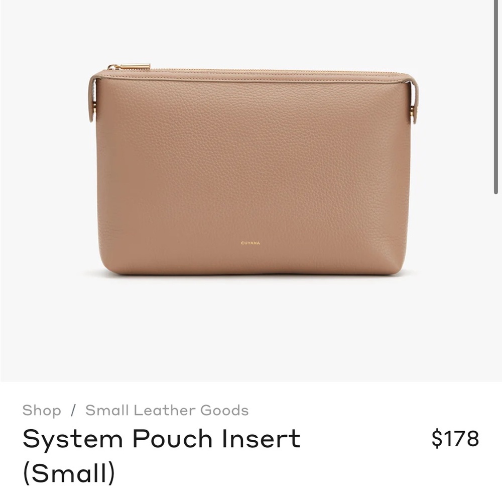 Cuyana cappuccino small system pouch insert